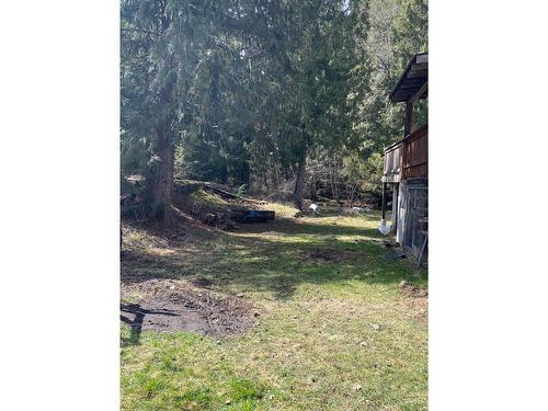 1590 Pass Creek Road, Castlegar, BC - Outdoor With View