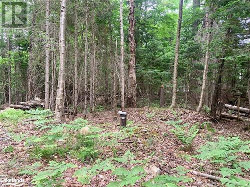 Drilled well - 149 Deerfoot Trail, Huntsville, ON 