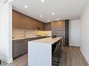 1604-777 Herald St, Victoria, BC  - Indoor Photo Showing Kitchen 