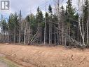 Lot 23-31 Maefield Road, Lower Coverdale, NB 