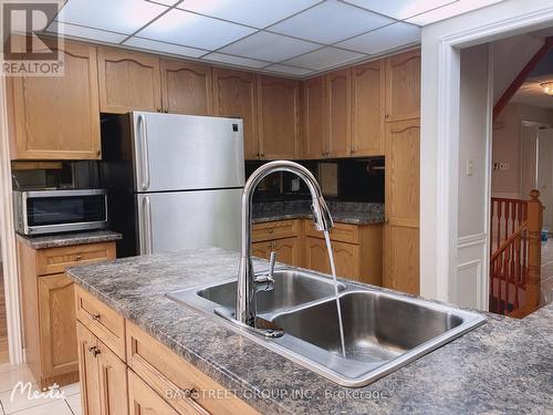 19 Bluebell Crescent, Hamilton, ON - Indoor Photo Showing Kitchen With Double Sink