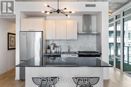 517 - 95 Bathurst Street, Toronto, ON - Indoor Photo Showing Kitchen With Upgraded Kitchen