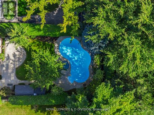73 Rochester Avenue, Toronto, ON - Outdoor With In Ground Pool