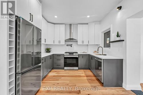 44 Proctor Boulevard, Hamilton, ON - Indoor Photo Showing Kitchen With Upgraded Kitchen