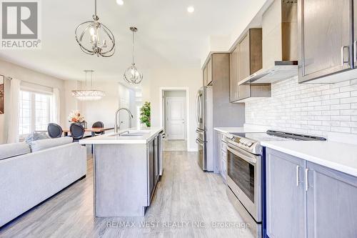 41 Starling Drive, Hamilton, ON - Indoor Photo Showing Kitchen With Upgraded Kitchen