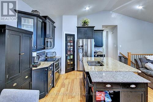 1555 Coronation Dr, London, ON - Indoor Photo Showing Kitchen With Double Sink With Upgraded Kitchen