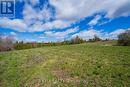 Pt Lot 14 Con 9 Fanning Road, Alnwick/Haldimand, ON 