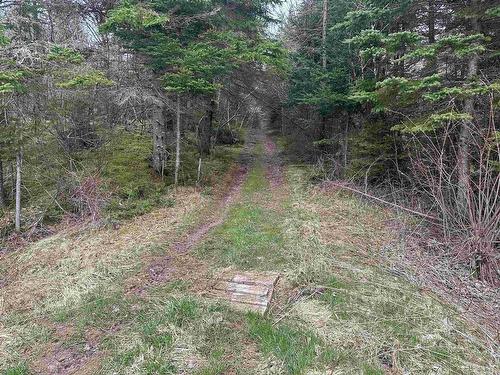 Lot 15 Lower River Road, Grantville, NS 