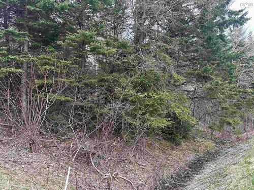 Lot 15 Lower River Road, Grantville, NS 