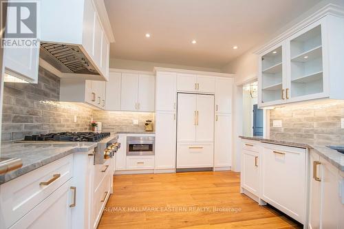115 Hall Drive, Galway-Cavendish And Harvey, ON - Indoor Photo Showing Kitchen With Upgraded Kitchen