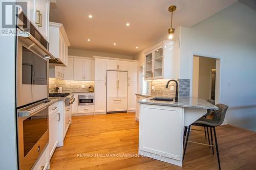115 Hall Drive, Galway-Cavendish And Harvey, ON - Indoor Photo Showing Kitchen With Upgraded Kitchen
