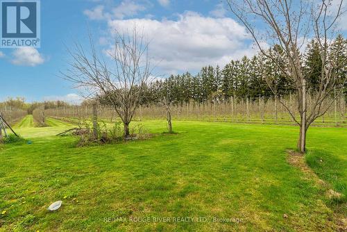 3354 Concession 3 Road, Clarington, ON - Outdoor With View