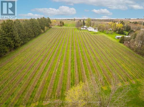 3354 Concession 3 Road, Clarington, ON - Outdoor With View