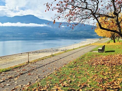 2 - 94 1St Avenue Sw, Nakusp, BC - Outdoor With Body Of Water With View