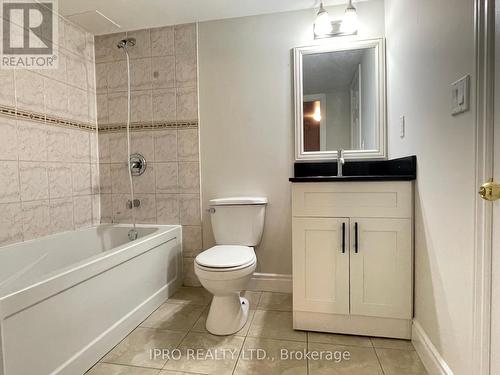 Bsmt - 16 Ponymeadow Way, Brampton, ON - Indoor Photo Showing Bathroom