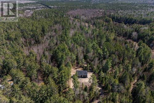 Privacy amongst the trees on 7 acres of land - 355 Josie Lane, Laurentian Hills, ON - Outdoor With View