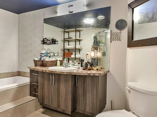 Salle de bains - 102-175 Rue Parent, Longueuil (Greenfield Park), QC - Indoor Photo Showing Bathroom