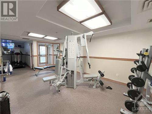 Fitness Room - 265 Botanica Private Unit#89A, Ottawa, ON - Indoor Photo Showing Gym Room