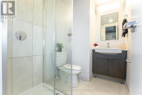 1017 - 105 Champagne Avenue S, Ottawa, ON - Indoor Photo Showing Bathroom