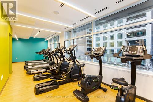 1017 - 105 Champagne Avenue S, Ottawa, ON - Indoor Photo Showing Gym Room