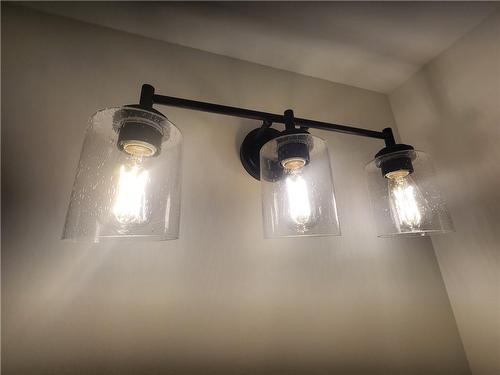 Standard Lighting Fixtures - 242 Lafayette Street, Jarvis, ON - Indoor Photo Showing Other Room