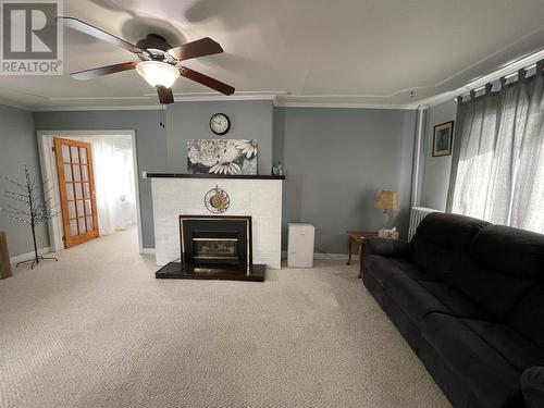 3 Exploits Avenue, Grand Falls-Windsor, NL - Indoor Photo Showing Living Room With Fireplace