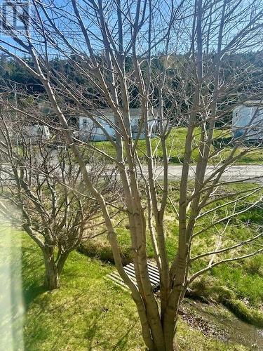 161 South East Road, Placentia, NL - Outdoor With View