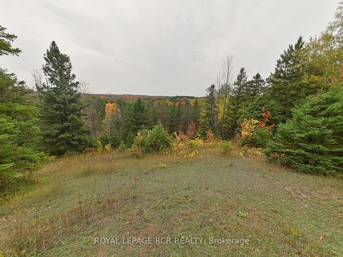 627315 15Th Sdrd, Mulmur, ON - Outdoor With View