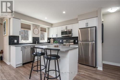 41 - 253 Chapel Hill Drive, Kitchener, ON - Indoor Photo Showing Kitchen With Upgraded Kitchen