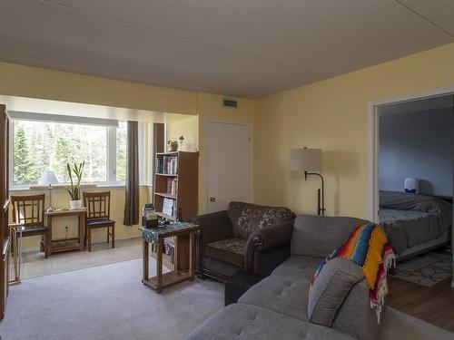 Unit 317, 500 Toledo Street, Thunder Bay, ON - Indoor Photo Showing Living Room