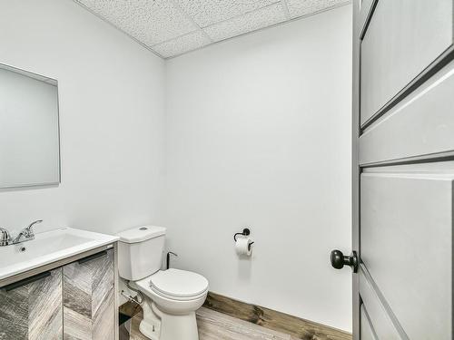 Powder room - 55 Rue Préfontaine E., Sainte-Agathe-Des-Monts, QC - Indoor Photo Showing Bathroom