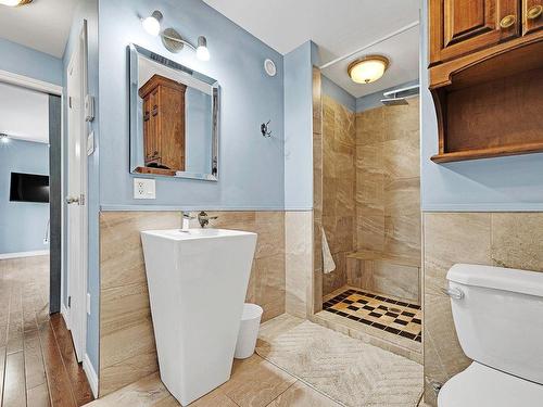 Ensuite bathroom - 48 Ch. Du Geai-Bleu, Saint-Sauveur, QC - Indoor Photo Showing Bathroom