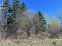 Prt 1 1/2 Lt3 Con1 Beauparlant, St. Charles, ON 