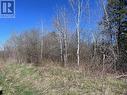 Prt 1 1/2 Lt3 Con1 Beauparlant, St. Charles, ON 