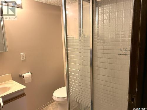 208 Bird Street, Loreburn, SK - Indoor Photo Showing Bathroom