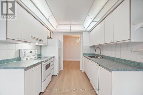 1807 - 22 Hanover Road E, Brampton, ON - Indoor Photo Showing Kitchen With Double Sink
