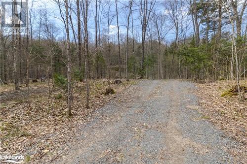 Driveway installed with permit & 911 number. - 1231 Big Hawk Lake Road, Algonquin Highlands, ON 