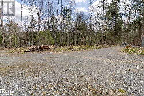 Cleared building site view 2. - 1231 Big Hawk Lake Road, Algonquin Highlands, ON 