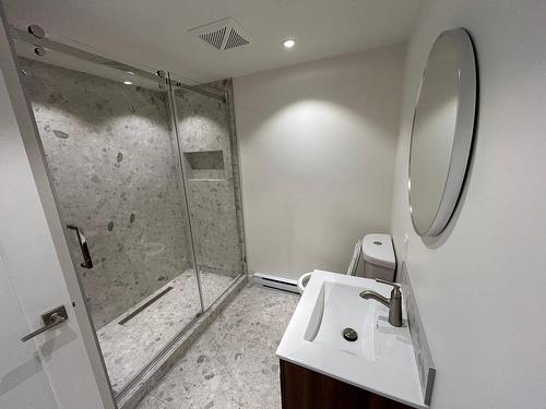 Bathroom - 1-7915 Rue De Bordeaux, Montréal (Villeray/Saint-Michel/Parc-Extension), QC - Indoor Photo Showing Bathroom