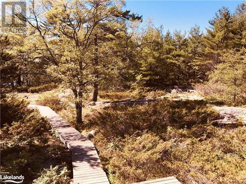 SOME WOODEN WALKWAYS, NOTE THE WELL TREED TOPOGRAPHY - 0 Crewe Point, Parry Sound, ON - Outdoor With View