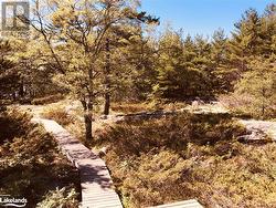 SOME WOODEN WALKWAYS, NOTE THE WELL TREED TOPOGRAPHY - 