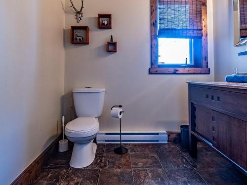 Powder room - 2 Ch. Du Boisé, Mandeville, QC - Indoor Photo Showing Bathroom