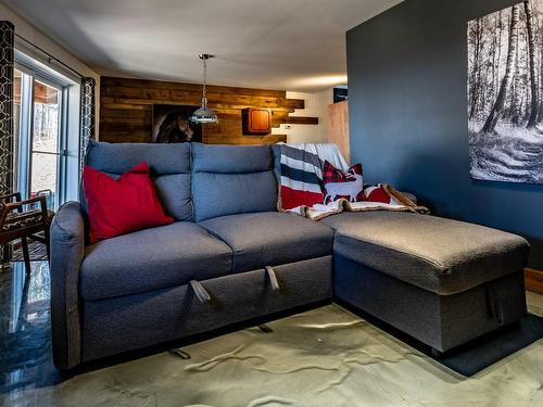 Family room - 2 Ch. Du Boisé, Mandeville, QC - Indoor Photo Showing Living Room