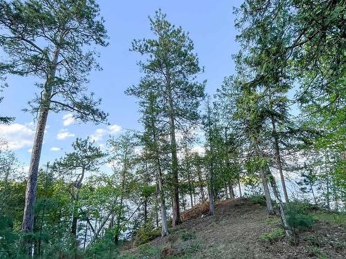 11 E Hay Island East, S Of Kenora, ON 