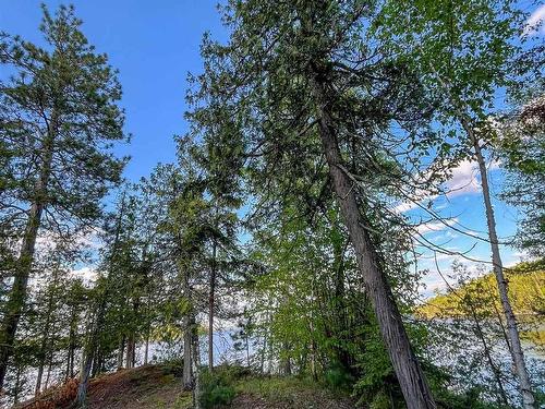 11 E Hay Island East, S Of Kenora, ON 