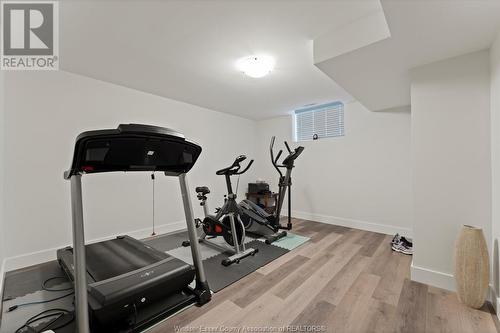 1252 D'Amore Drive, Lasalle, ON - Indoor Photo Showing Gym Room