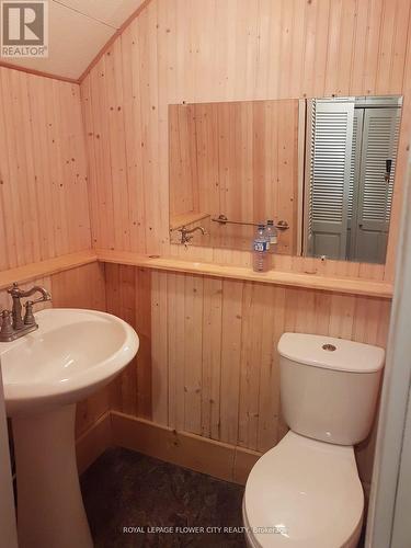 156097 Highway 10, Shelburne, ON - Indoor Photo Showing Bathroom