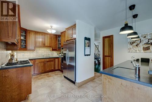 174 Mc Arthur Street, Dutton/Dunwich, ON - Indoor Photo Showing Kitchen With Double Sink