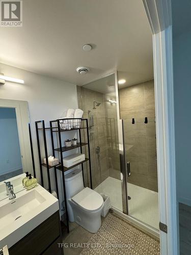 604 - 9 Tecumseth Street, Toronto, ON - Indoor Photo Showing Bathroom