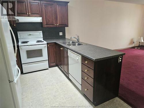243 Greenfield Lane, Chatham, ON - Indoor Photo Showing Kitchen With Double Sink